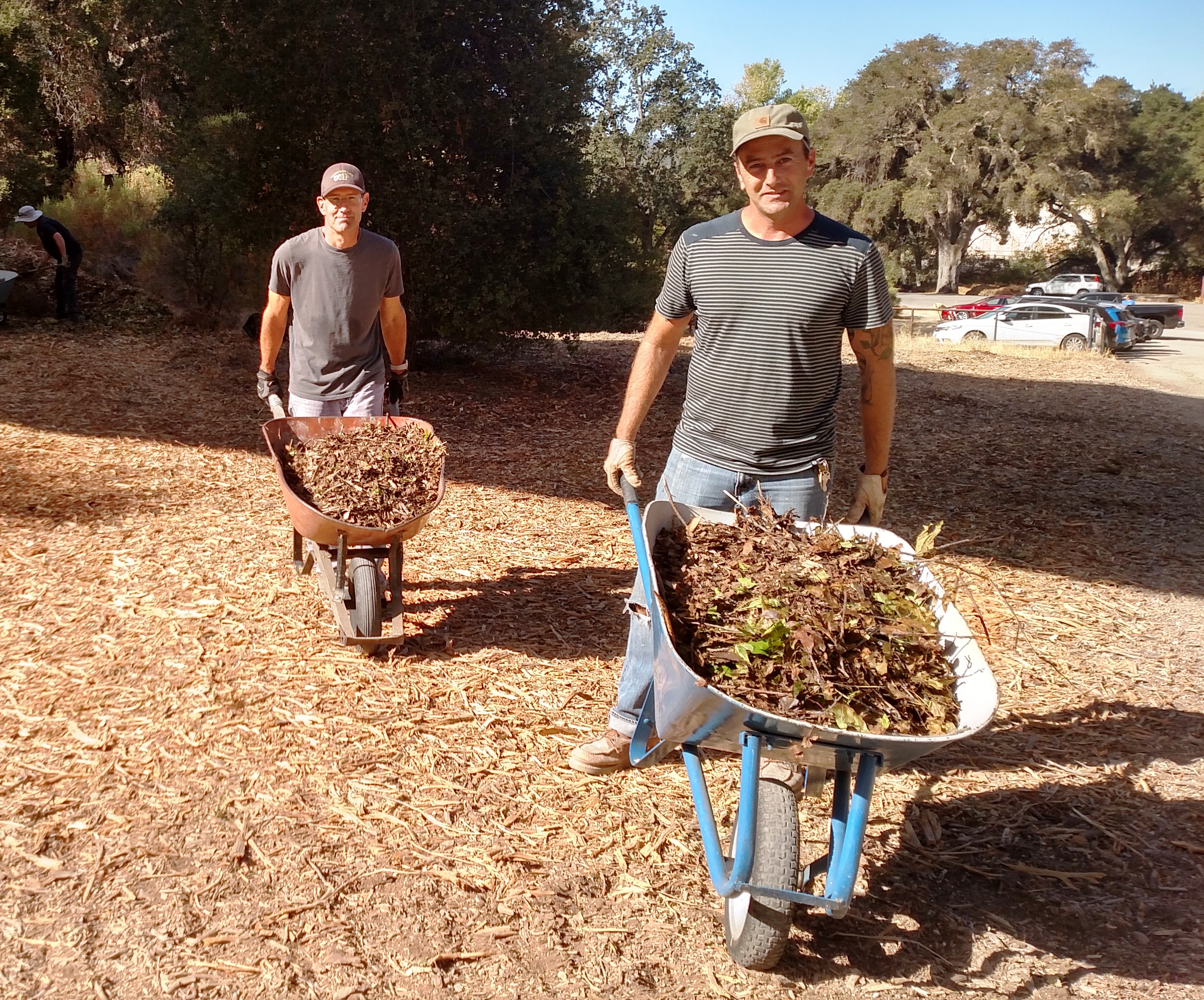Craig and Peter moving mulch to the garden!